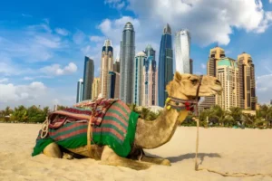 dubaj